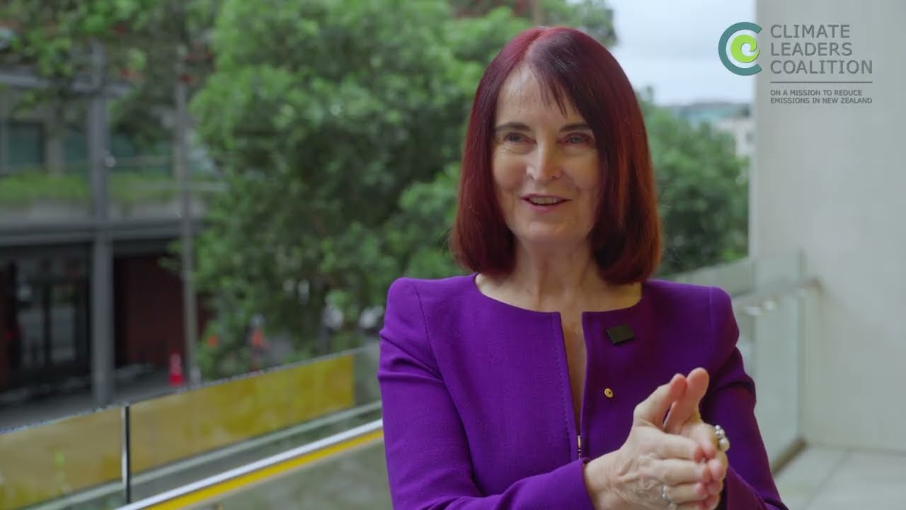 Climate Leadership Insights: The B Team Australasia