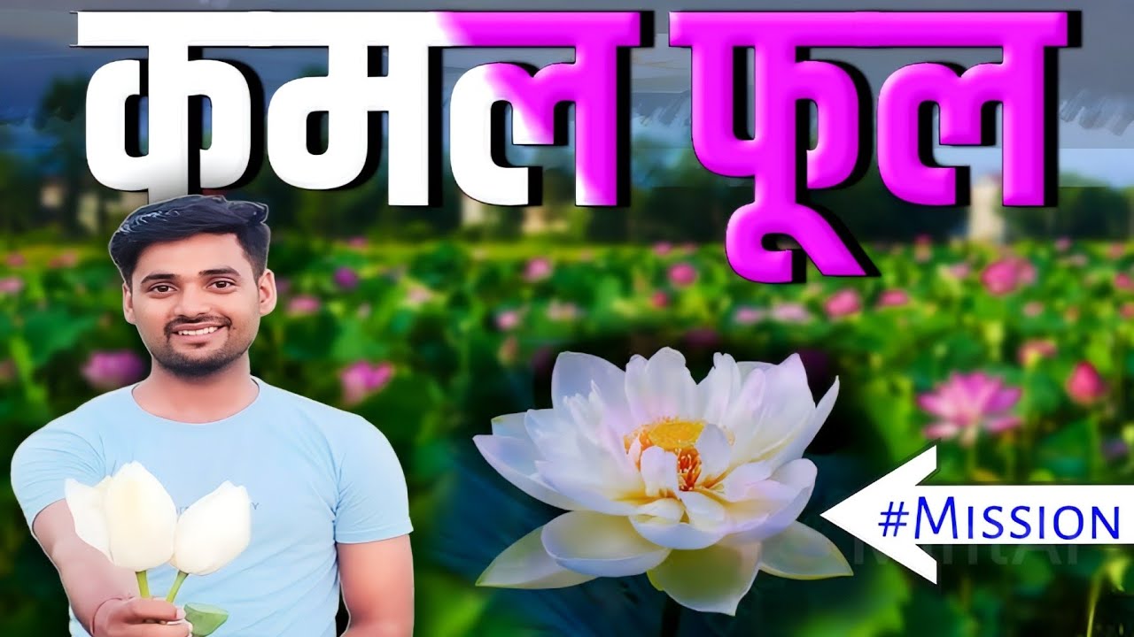 #Mission कमल फूल (Lotus In Mud) @ShyamTiwari