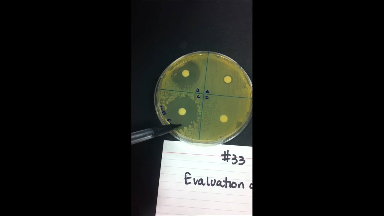 Evaluation of Disinfectants and Antiseptics
