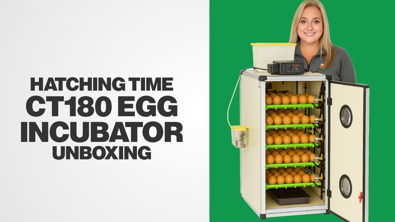Hatching Time CT180 Egg Incubator Unboxing  📦