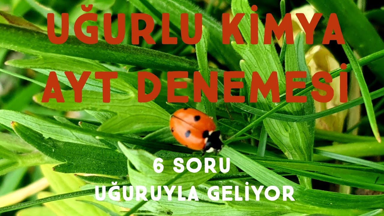🐞UĞURLU AYT KİMYA DENEMESİ | 6 SÜPER SORU✌ | Netleri Arttırmaya Devam😎