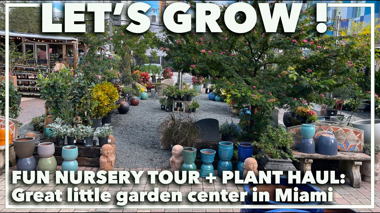 TOUR OF GARDEN CENTER: Visit to a Miami nursery with tips on picking the right plants