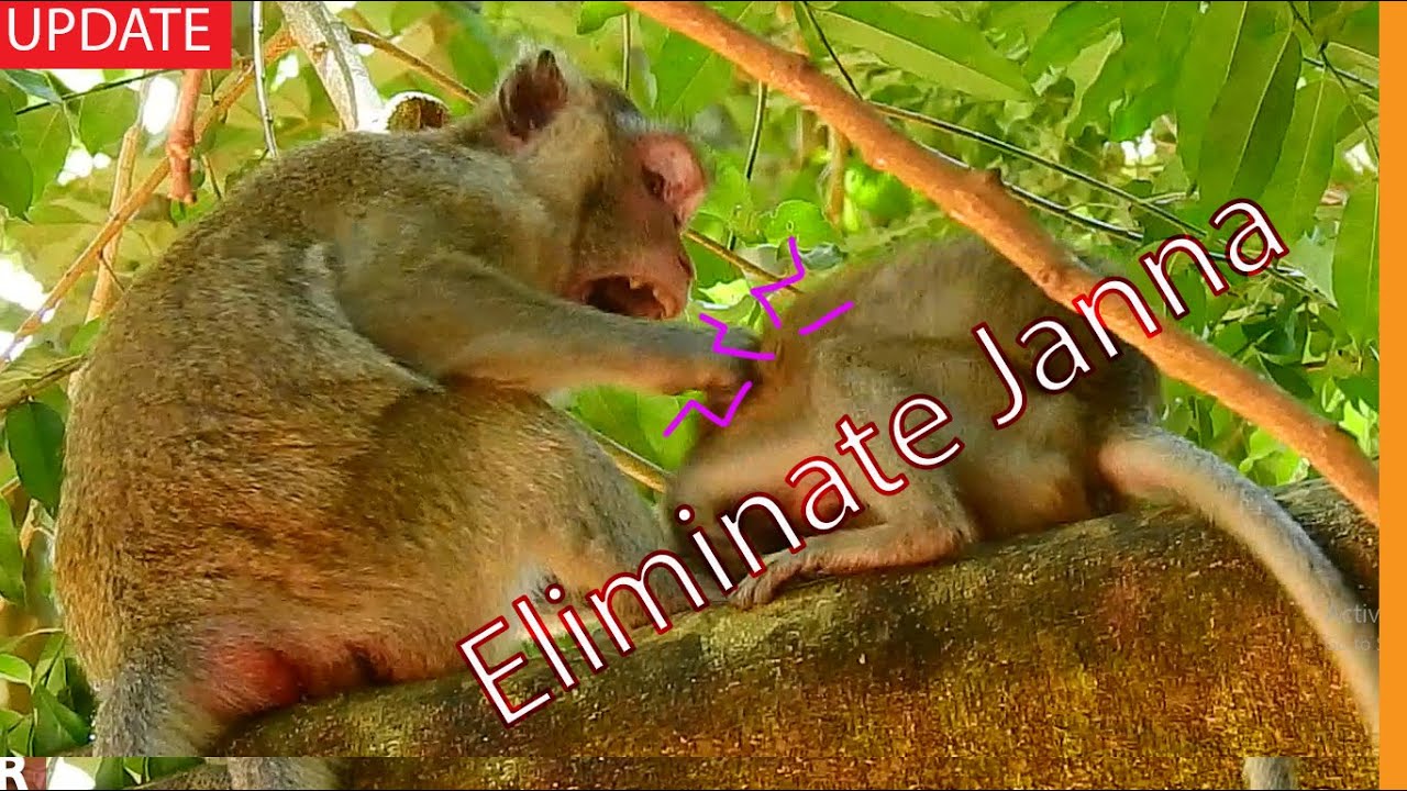 Bo-om Attack !! Jane Hit Janna's Curved Back Weaning Her Roughly