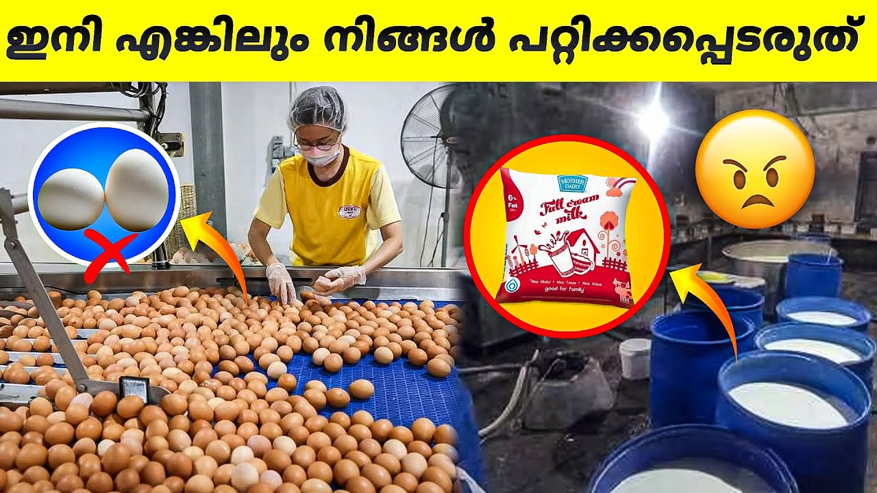 കൃത്രിമ മുട്ടയും പാലും ഇങ്ങനെയാണ് നിർമ്മിക്കുന്നത് എന്ന് നിങ്ങൾക്ക് വിശ്വസിക്കാനാവില്ല