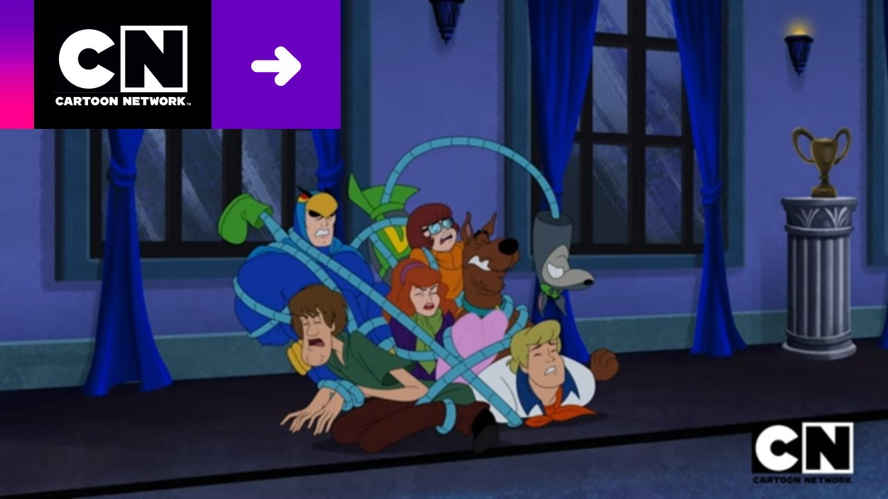SCOOBY DOO, BIONICÃO | SCOOBY DOO! E CONVIDADOS | CARTOON NETWORK