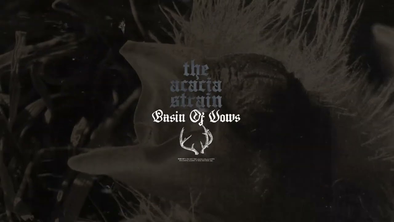 The Acacia Strain - basin of vows (feat. ethan mccarthy) (Visualizer)