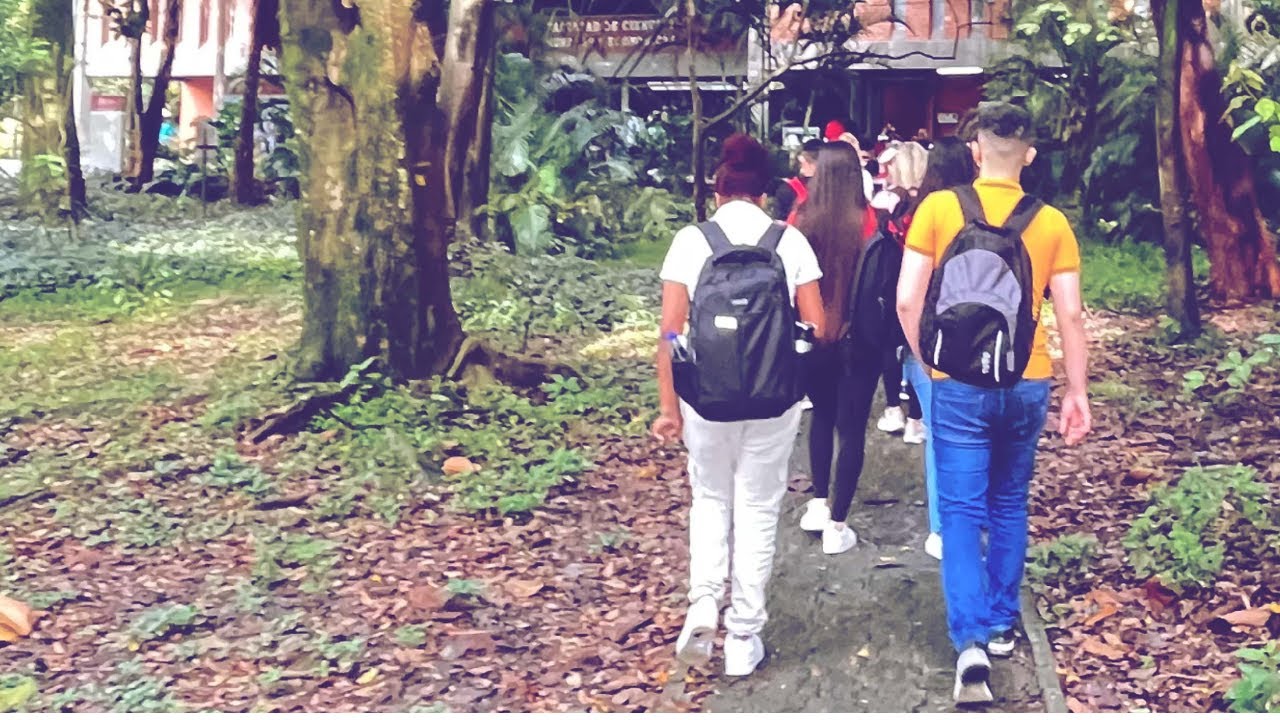 Docente de la Universidad Nacional en Medellín es señalado de acoso