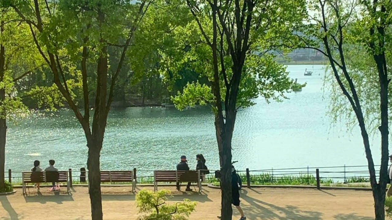 [𝐩𝐥𝐚𝐲𝐥𝐢𝐬𝐭] sunshine and breeze in the afternoon | 봄날 오후의 산책 🌳☀️