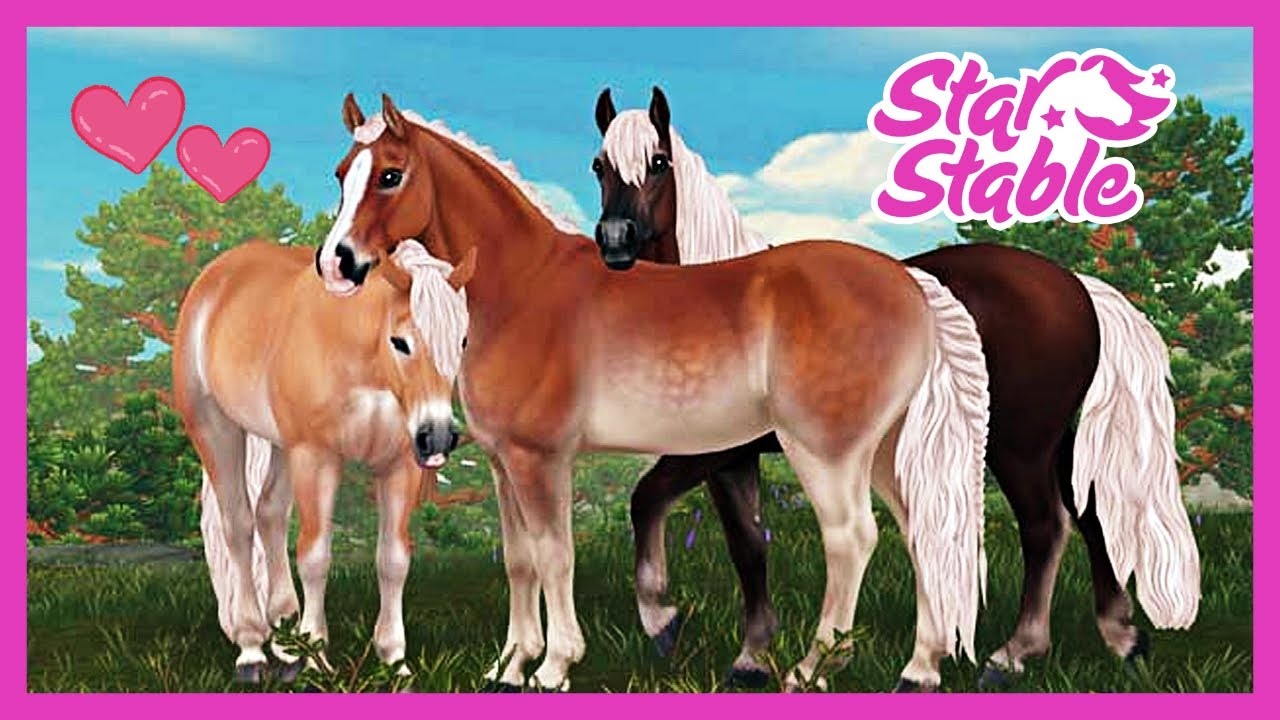 Hősi haflingik 🐴 Star Stable Online