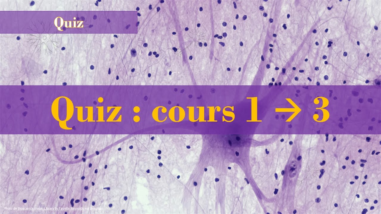 Quiz - Cours 1 à 3