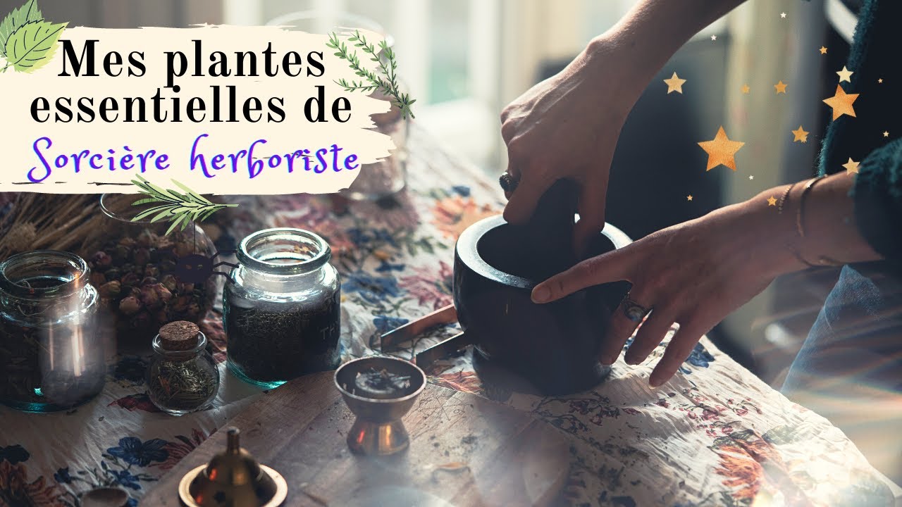 5 plantes indispensables quand tu es une sorcière 🌿 Magie botanique & remèdes 💫