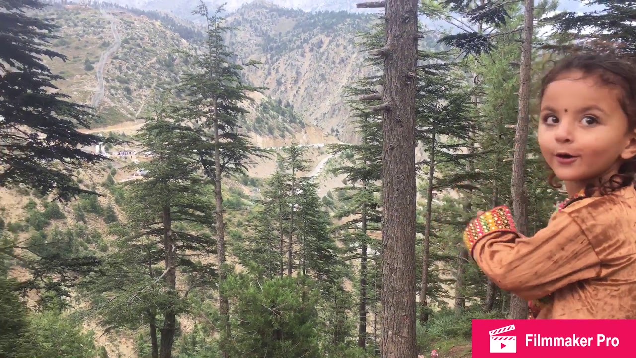 Pashto song | watana | video | Gavi Tari Mangal Parachinar Upper Kurram KPK | #tarimangal #pashto