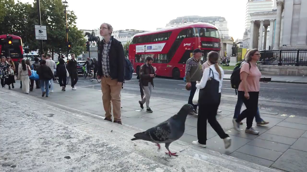 Watching BUSY Tourists walking by in Trafalgar Square London