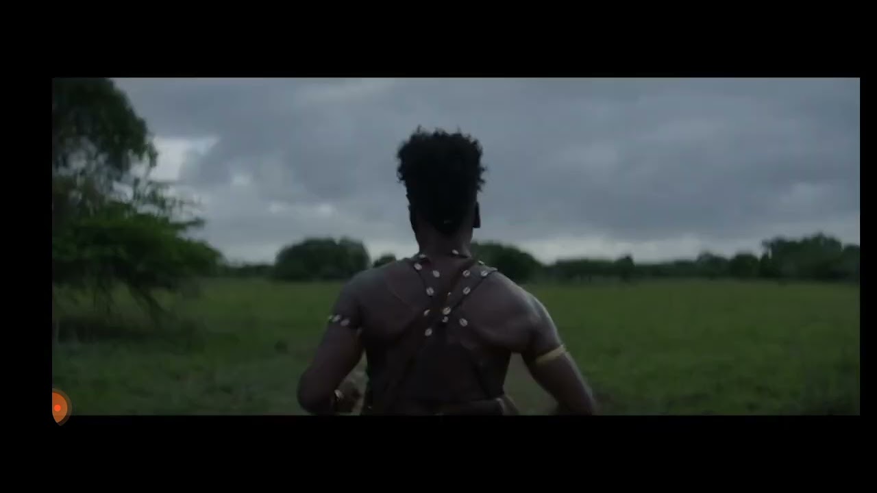 The Woman King I have to try to save her