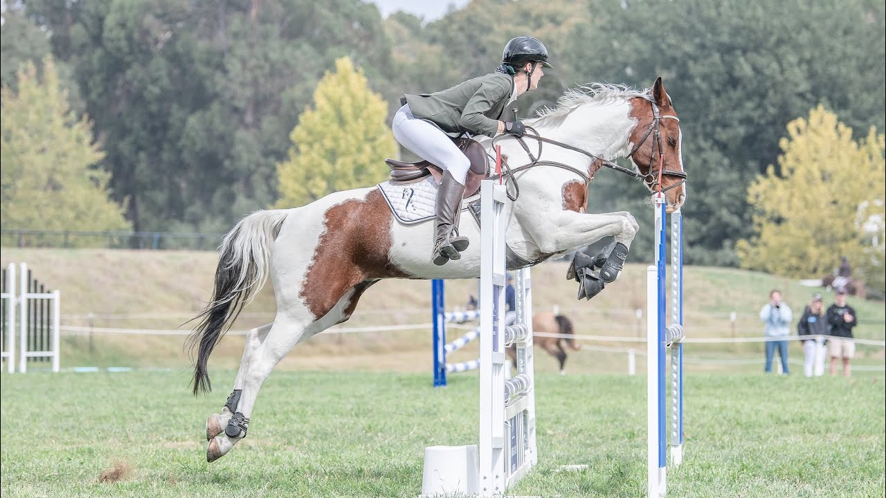 Canberra International Horse Trials! 🏠 - Event Vlog #2