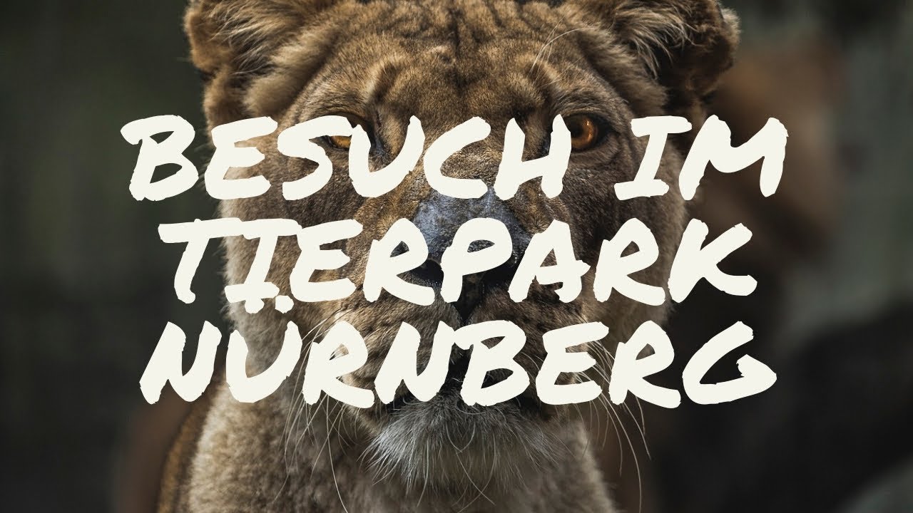 Besuch des Tierparks in Nürnberg