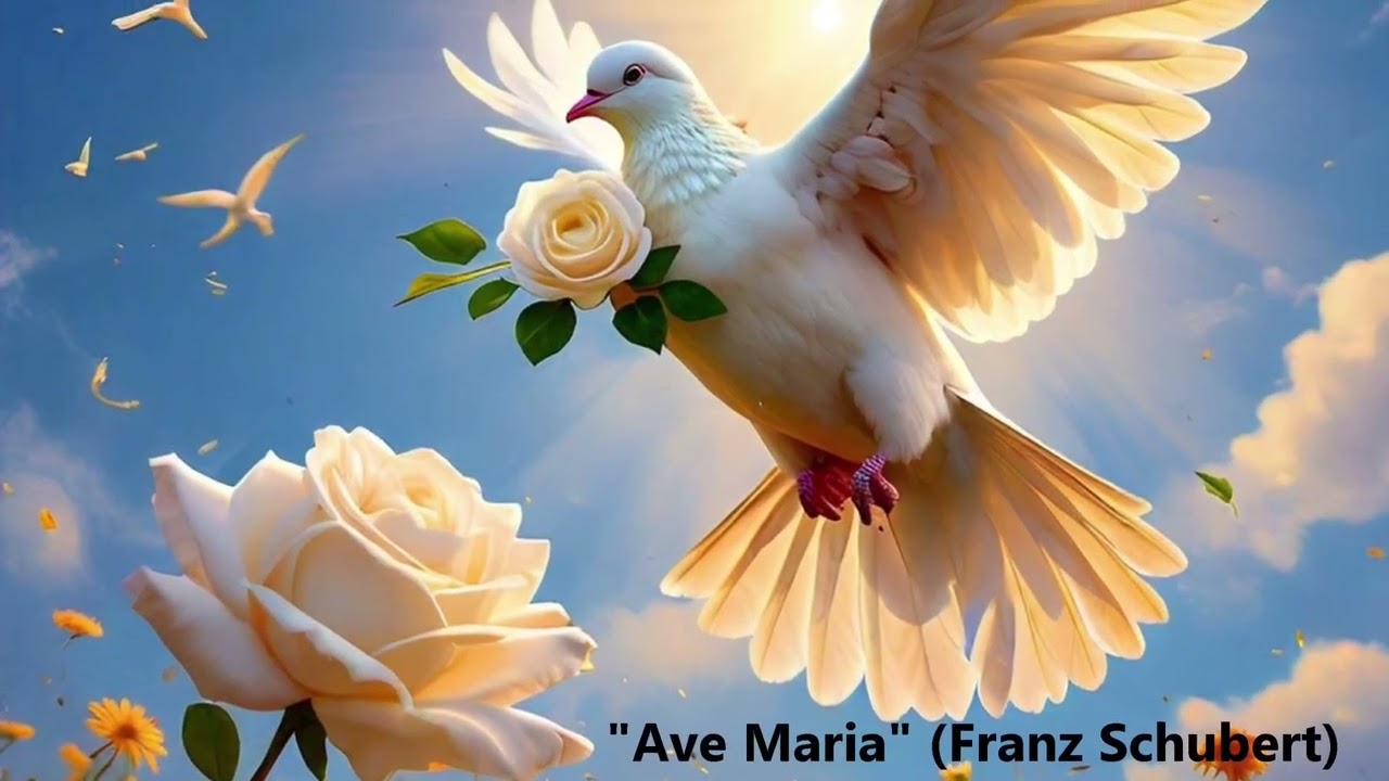 “Ave María” (Franz Schubert) (Transcription : Franz Liszt) (Orchestration : Marcelo Rago)