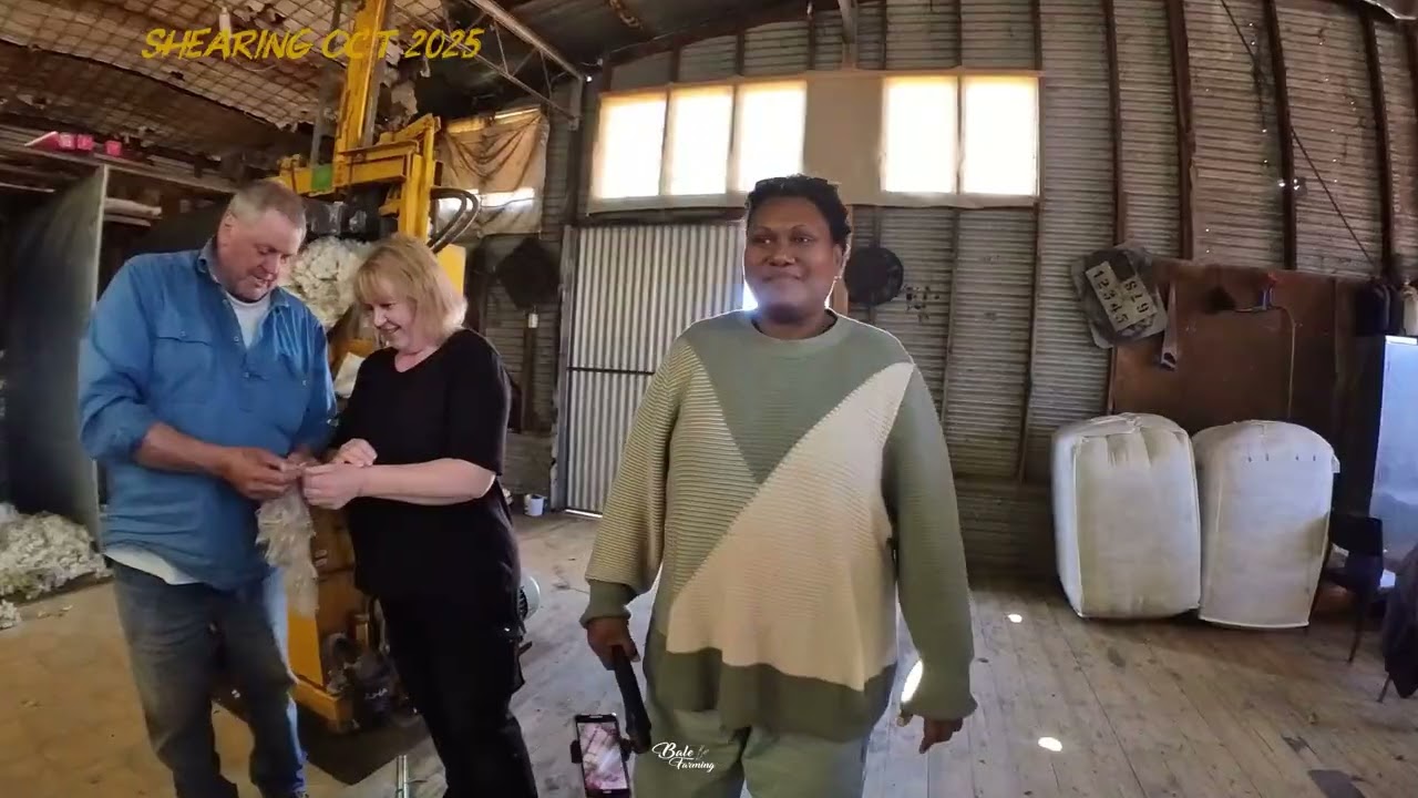 Shearing 2025