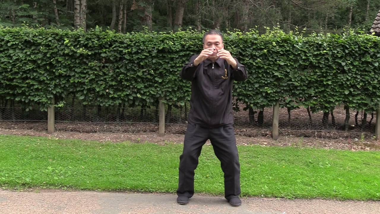 5 Loosening Exercises Lau K King 刘恭庆 松身五法