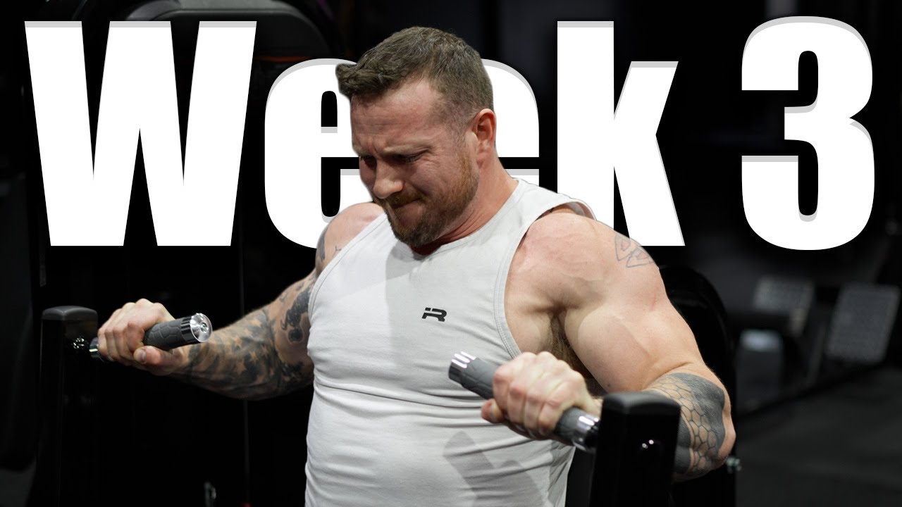 Bench Day and Accessories at Larry Wheel's Gym