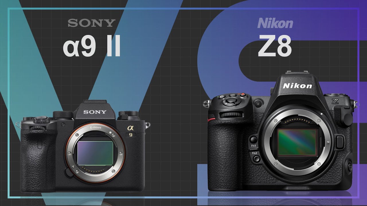 Sony alpha a9 II vs Nikon Z8