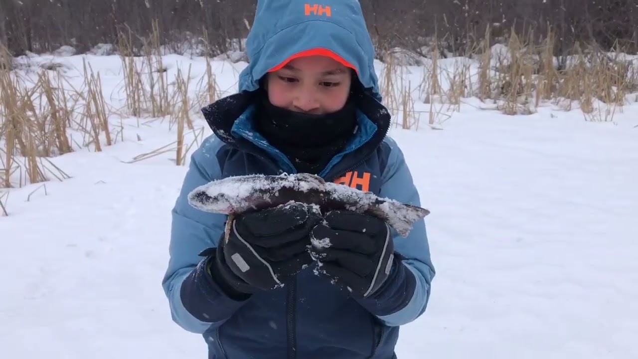 Ice Fishing in 2023 with Pemberton Fish Finder