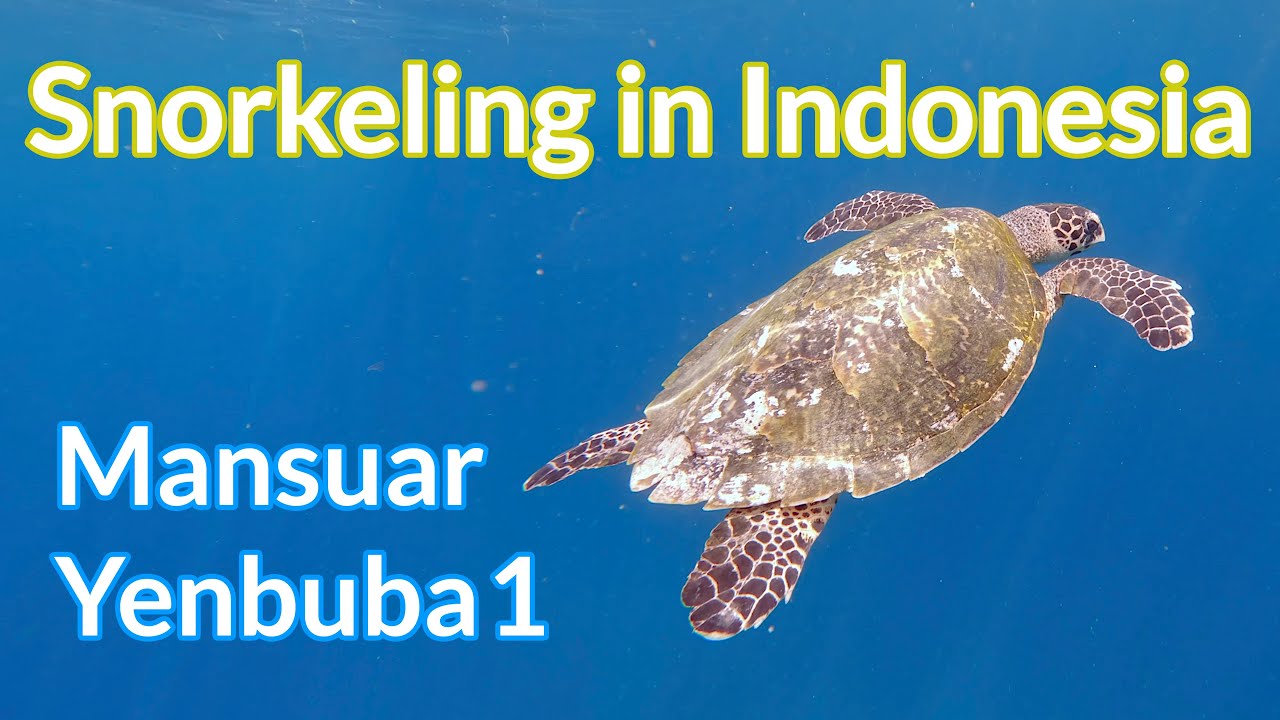 Mansuar, Yenbuba Ep.1 - 4K Snorkeling in Indonesia