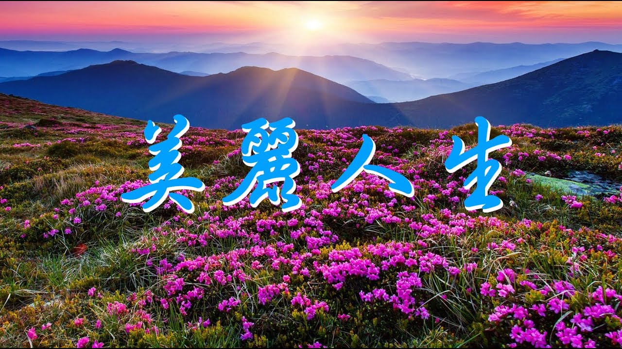 美麗人生(2026.01.27)台灣目前唯一有證照在電視上免費服務的命理堪輿師，現場LIVE提供諮詢姓名學、算命等專業命理服務