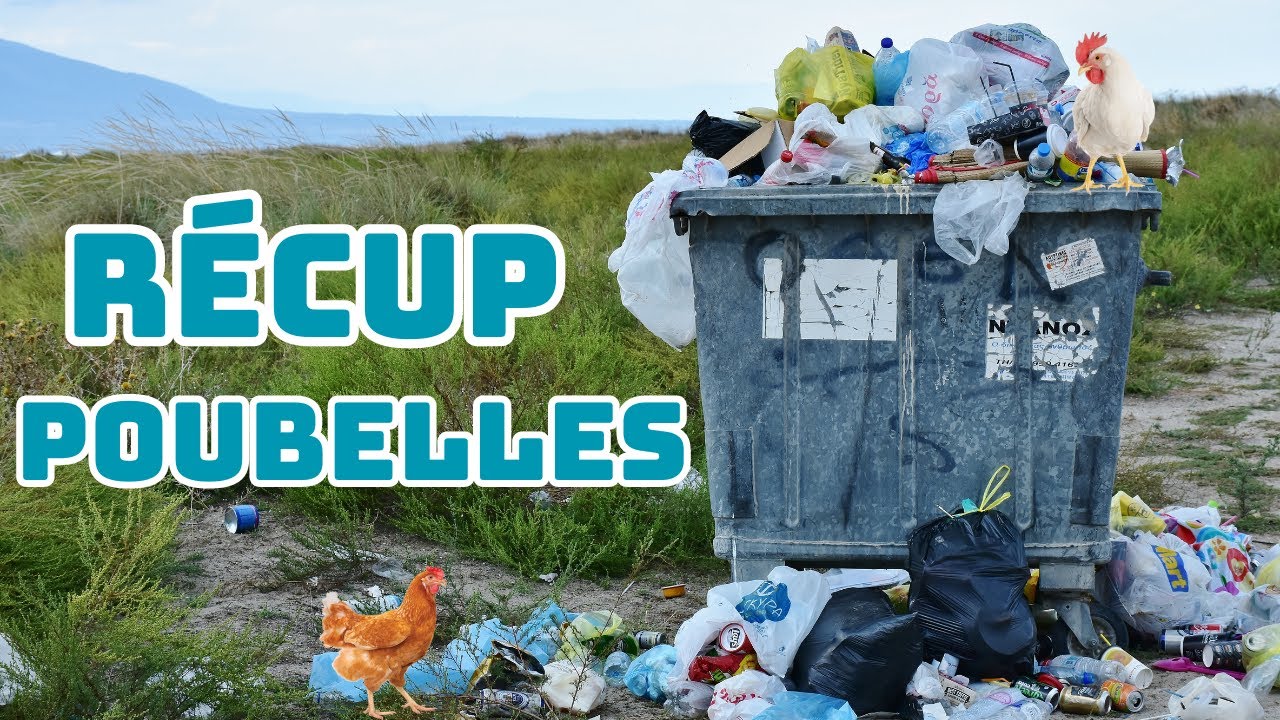 Récupération sous le signe de la poule dans les poubelles près de chez moi 🐓