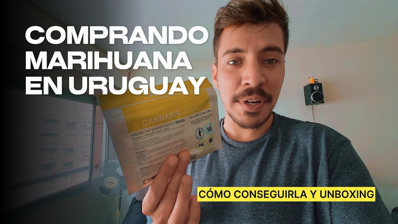COMPRO MARIHUANA EN URUGUAY POR PRIMERA VEZ - IRCCA