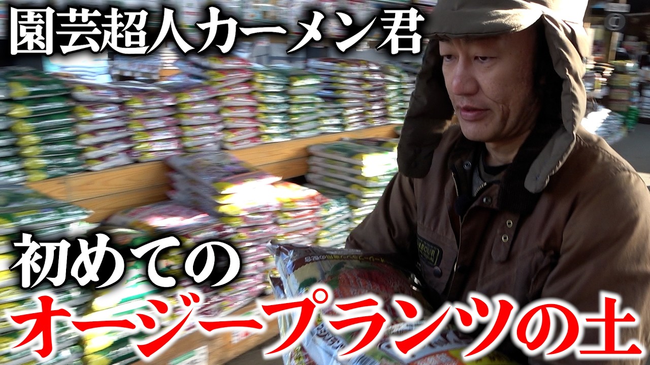 【人生初】オージープランツの土を開封した反応は！？！？【カーメン君】【園芸】【ガーデニング】