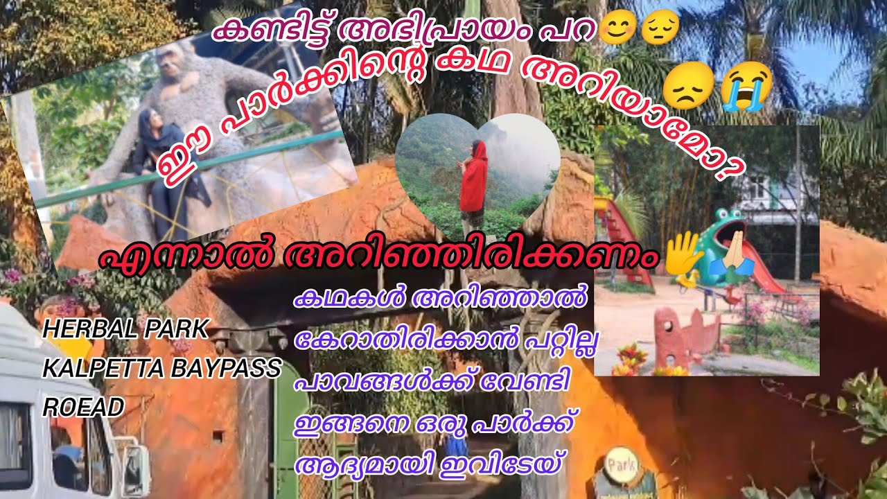 ഈ പാർക്ക്‌ എന്താണ് എന്ന് ഒരുവട്ടം എങ്കിലും അറിഞ്ഞിരിക്കണം 😱😍👌🏻BYPASS PARK KALPETTA|HERBAL PARK|