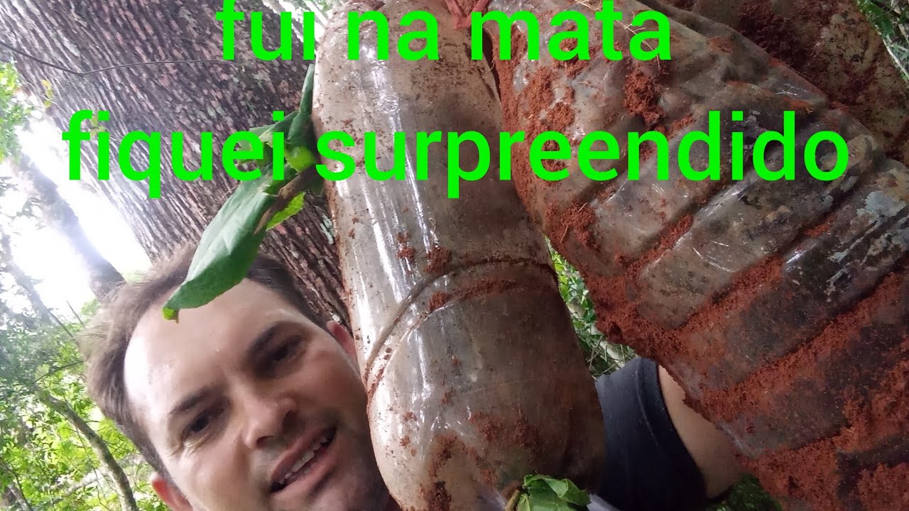 revisando isca enterrada na mata .isto pra mim vale ouro ,um troféu