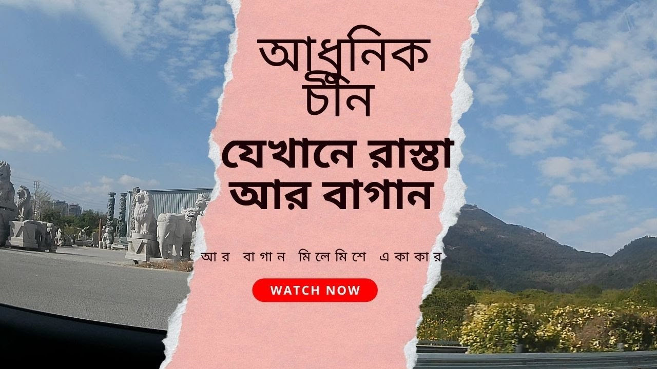 আধুনিক চীন: যেখানে রাস্তা আর বাগান মিলেমিশে একাকার। ।| রাস্তা নয়, যেন এক টুকরো স্বর্গ!