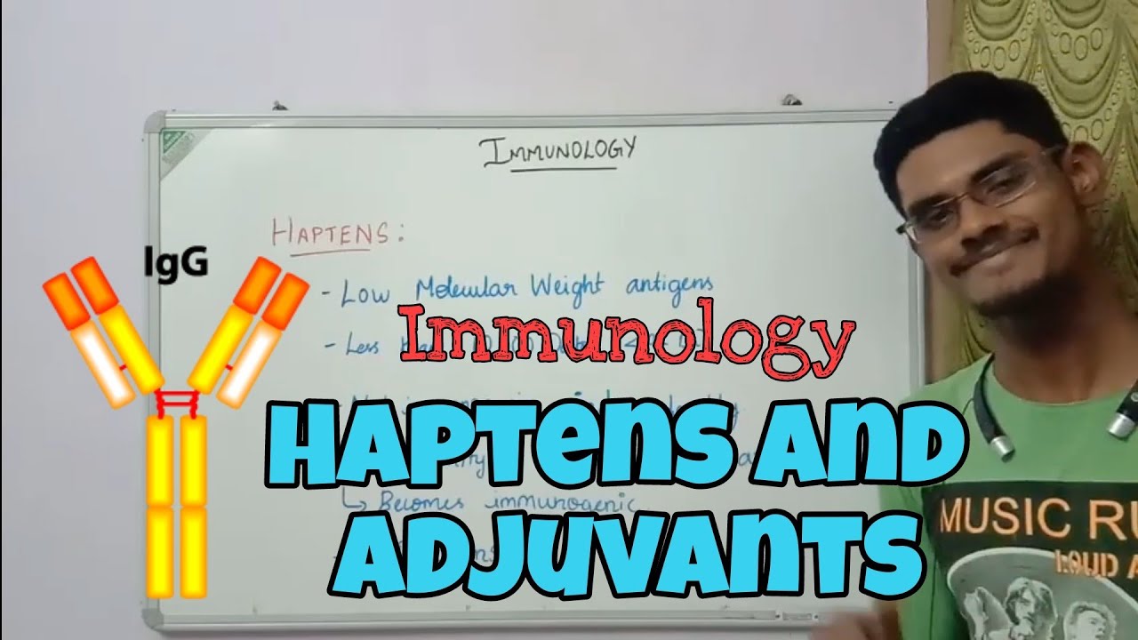 Haptens | Adjuvants | Immunology | Tamil | ThiNK BIOLOGY | tnkumaresan | ThiNK VISION