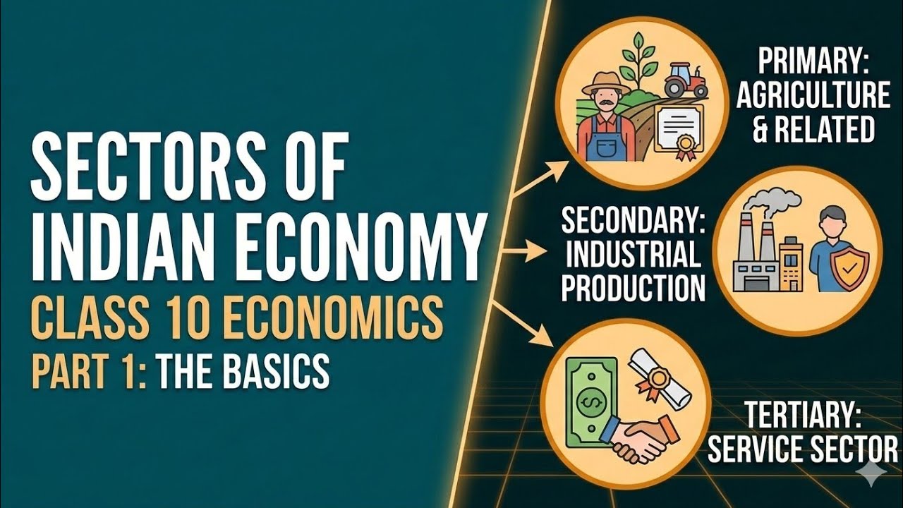 Sectors of Indian Economy Class 10 Economics |Economic Full NCERT Explanation #sectors #economy