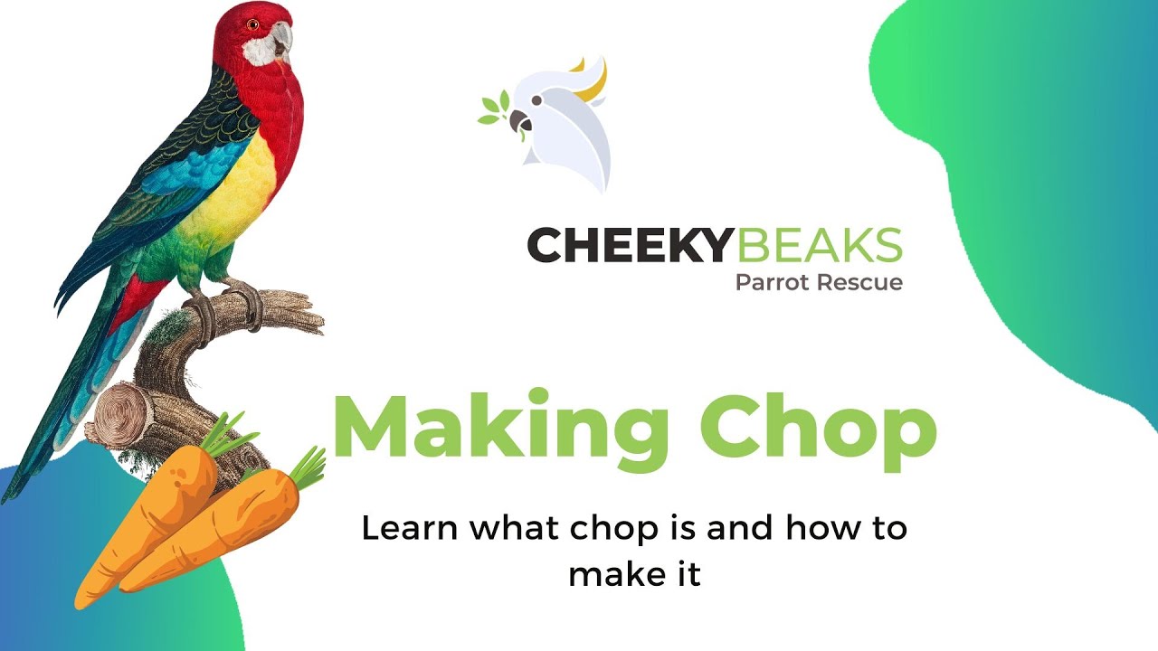 Making Chop: Healthy Parrot Diet