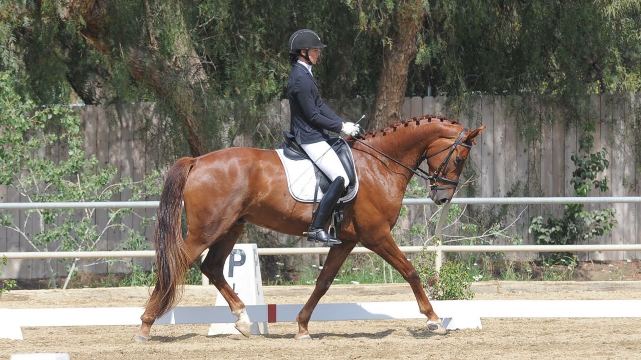 Show Prep Week: How to get ready for a show!