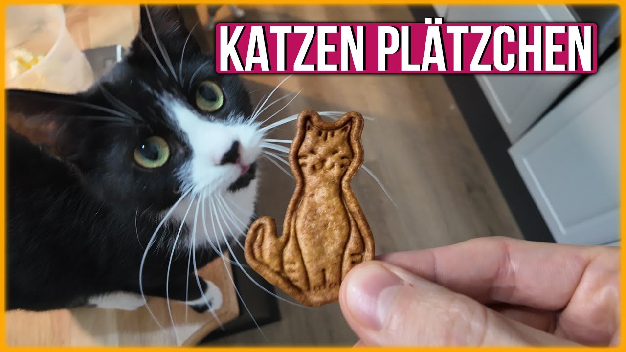 Plätzchen für Katzen backen - Wir zeigen dir wie