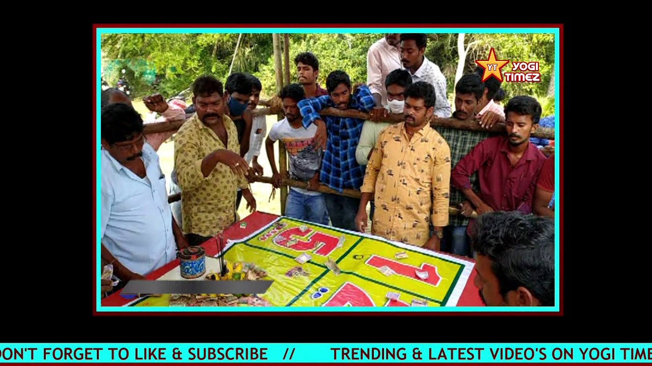 ఆంధ్రాలో కోడిపందాల జోరు || Cock Fights at Andhra Pradesh || Sankranthi Festival 2021
