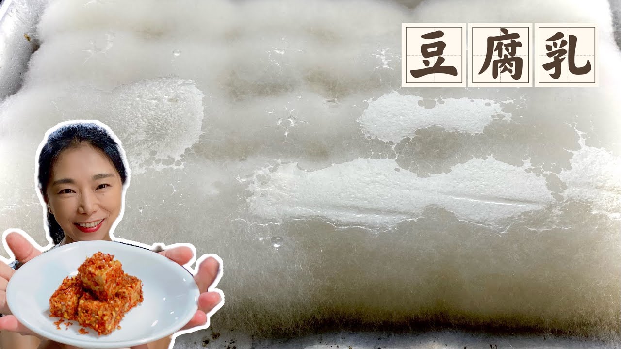 豆腐乳、霉豆腐、毛茸茸的超療癒、長毛的豆腐還能吃嗎？