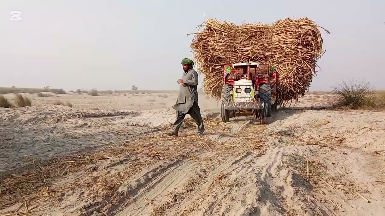 آپ بتاؤ کہ آپ کو یہ ویڈیو اچھی لگی ہے کمیٹ میں ضرور بتاؤ 