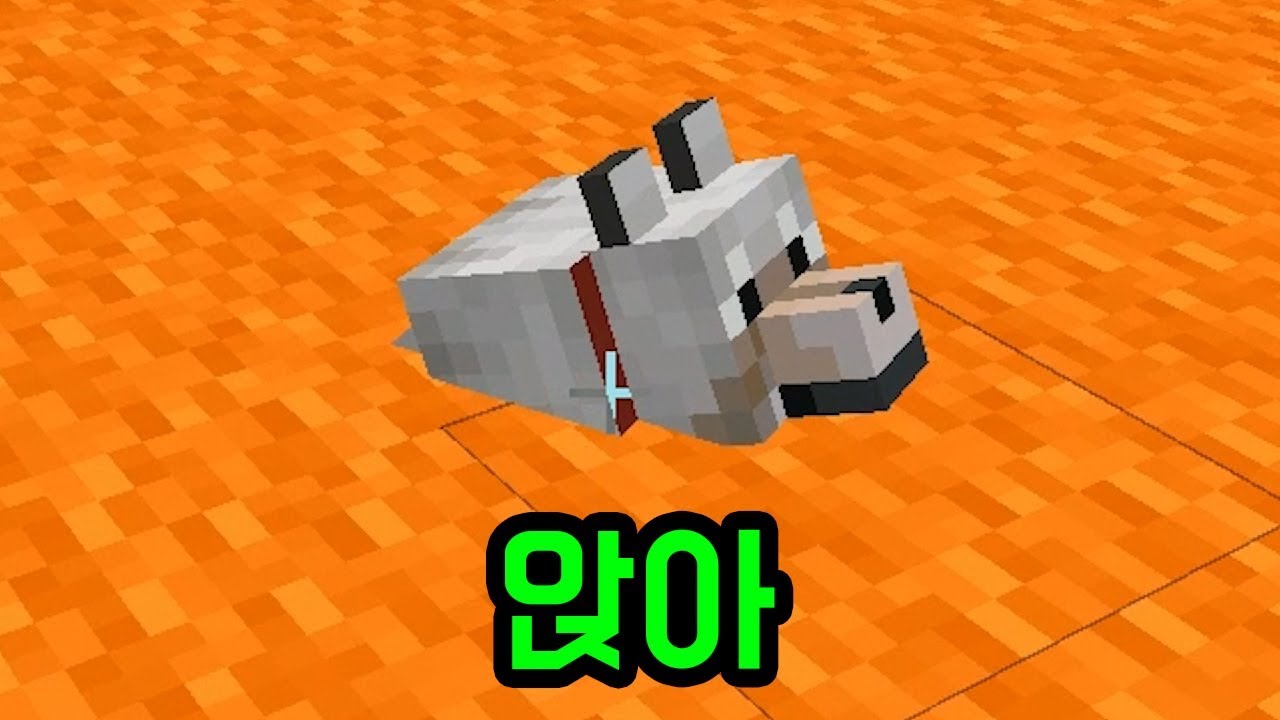 훈련이 잘 된 모모(마인크래프트)