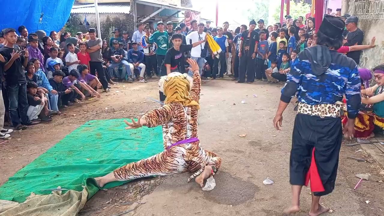 KUCINGAN X MACAM X EYANG X BANTENGAN NEW PANDOWO PUTRO BANDAR LAMPUNG 