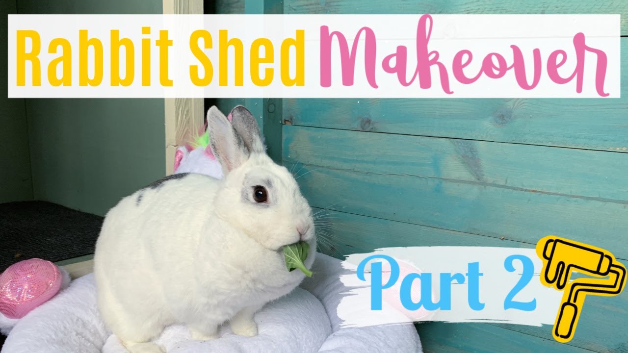 Rabbit Shed Makeover Part 2 | LockDown Day 37