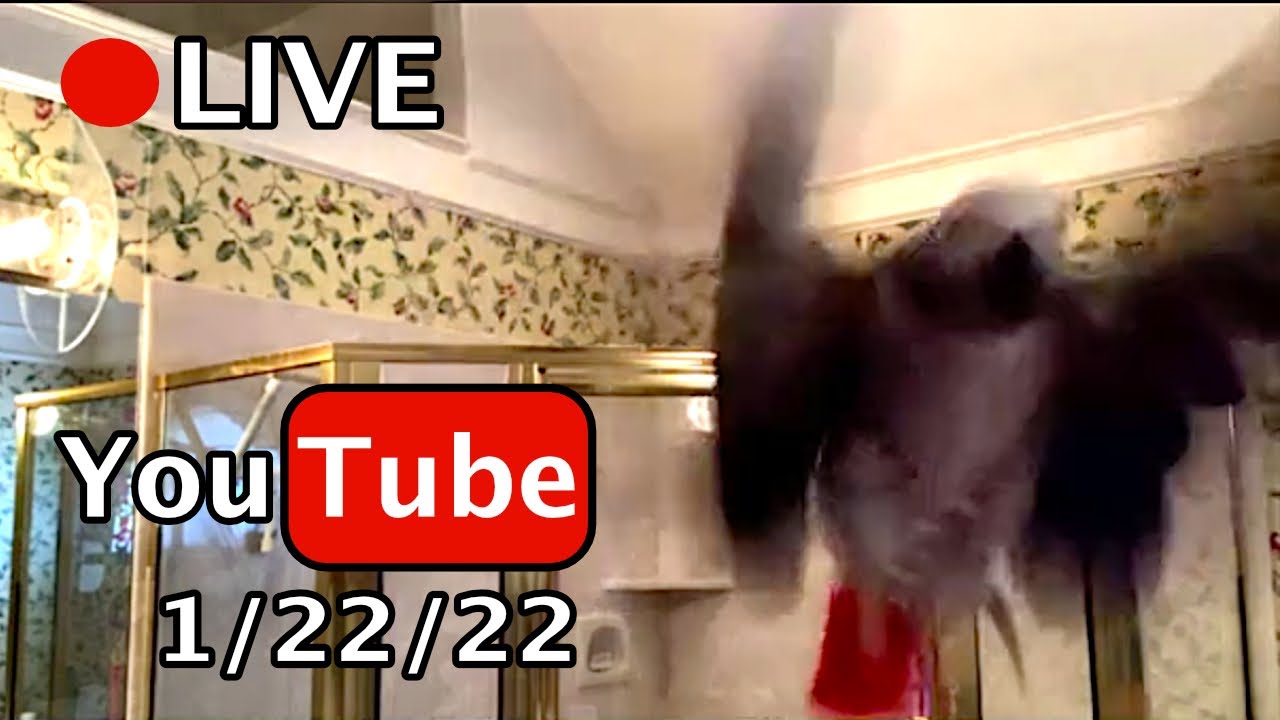 🔴🐦Einstein Live 1/22/22