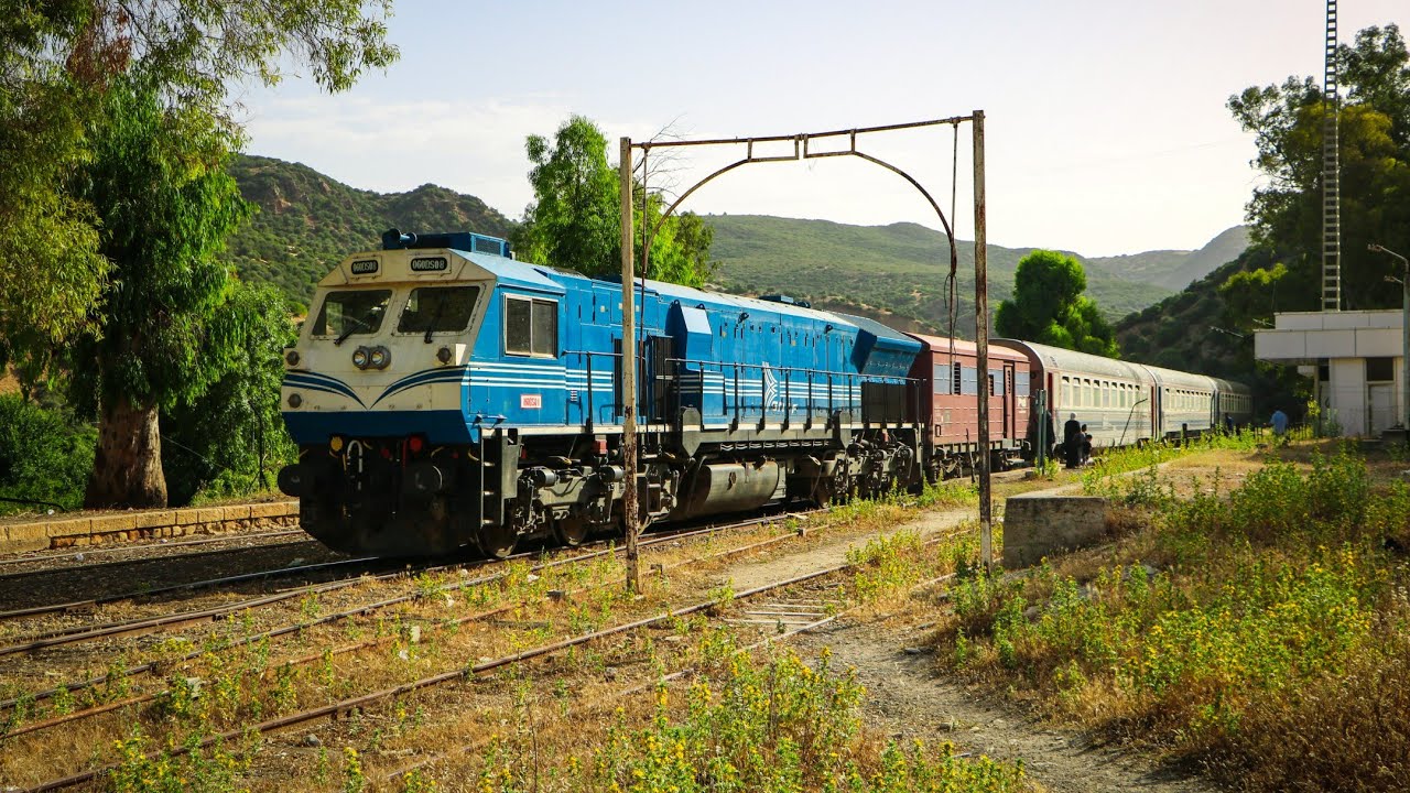 رحلة إلى الحدود التونسية على أحد أجمل سكك حديد الجزائر المنسية One of Algeria's Most Scenic Railways