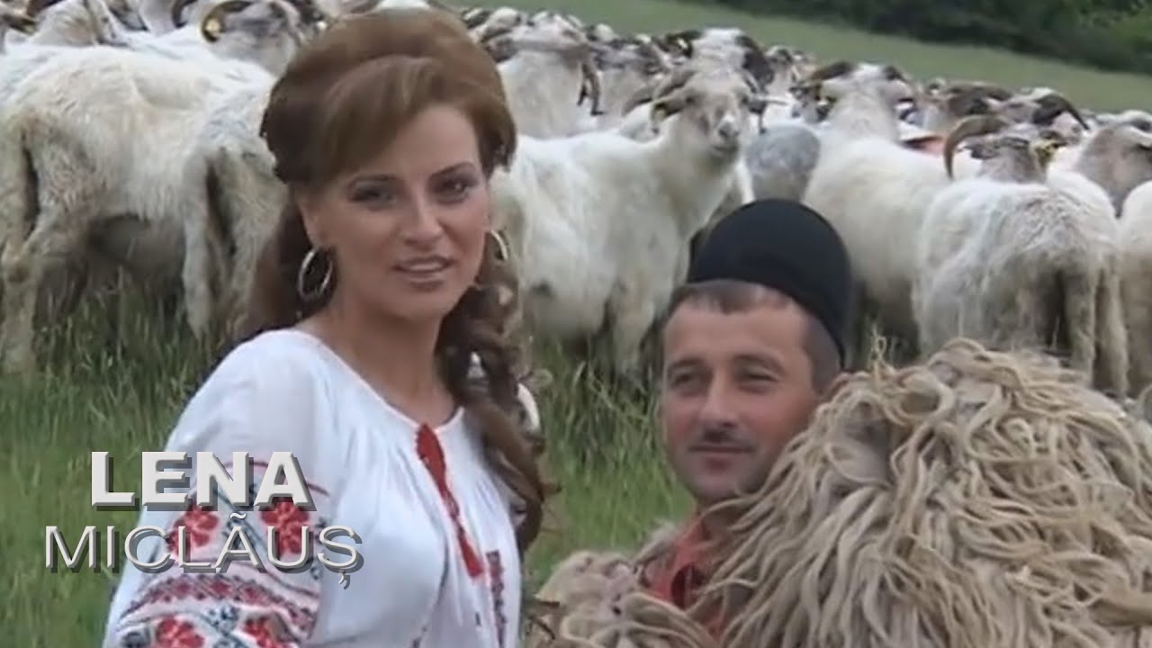 Lena Miclaus -  Prin Sibiu prin marginime