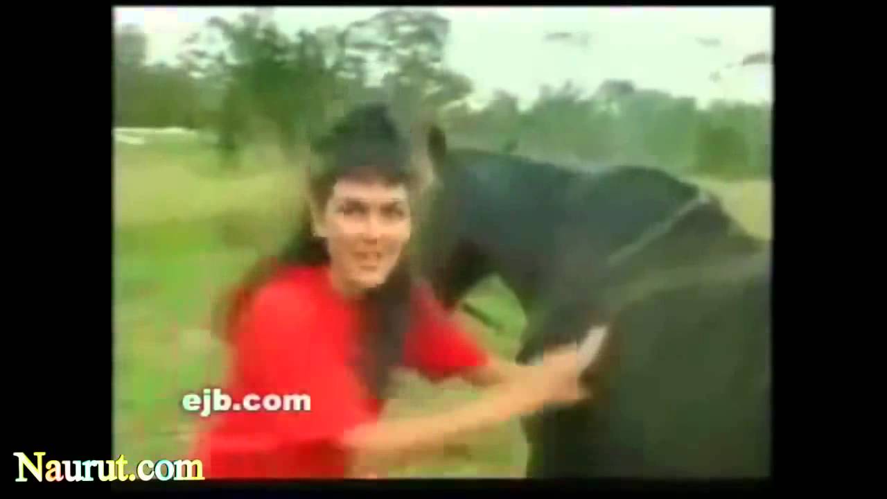 Most Funny Horse Videos 2013
