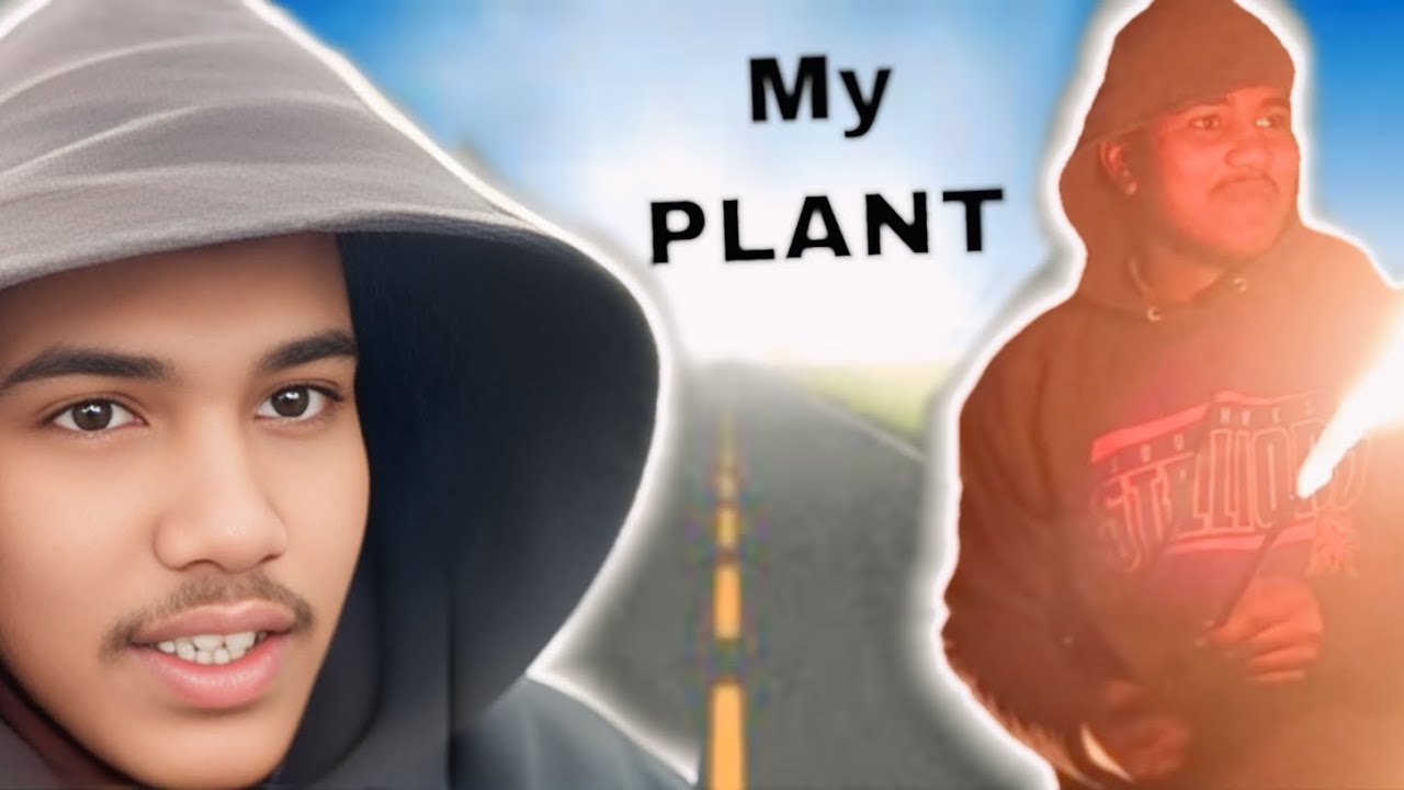 My Plant 😂😂#/Sikander 